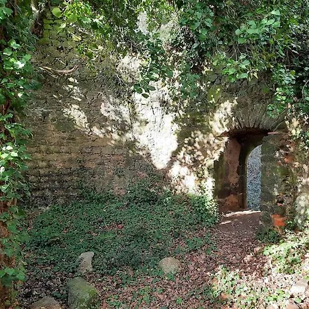 Au Detour Du Puy Maison Avec Piscine Interieure A 15 Mn Puy Du Fou 度假居