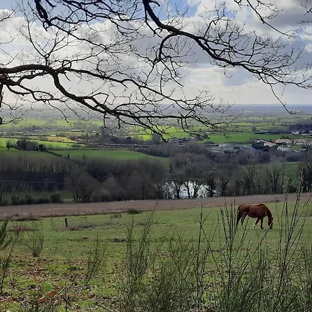 Au Detour Du Puy Maison Avec Piscine Interieure A 15 Mn Puy Du Fou *