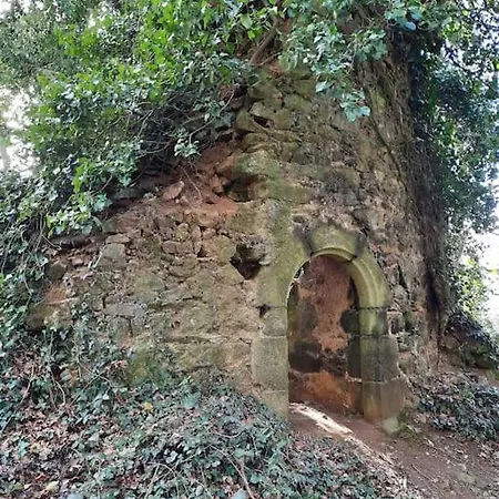 Au Detour Du Puy Maison Avec Piscine Interieure A 15 Mn Puy Du Fou 度假居 *